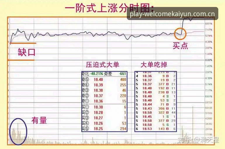 5个新手必学的赛事盘口分析技巧，助你快速上手凯发体育平台